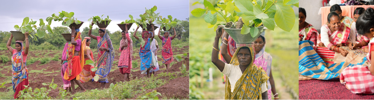 Aadivasi Welfare Foundation