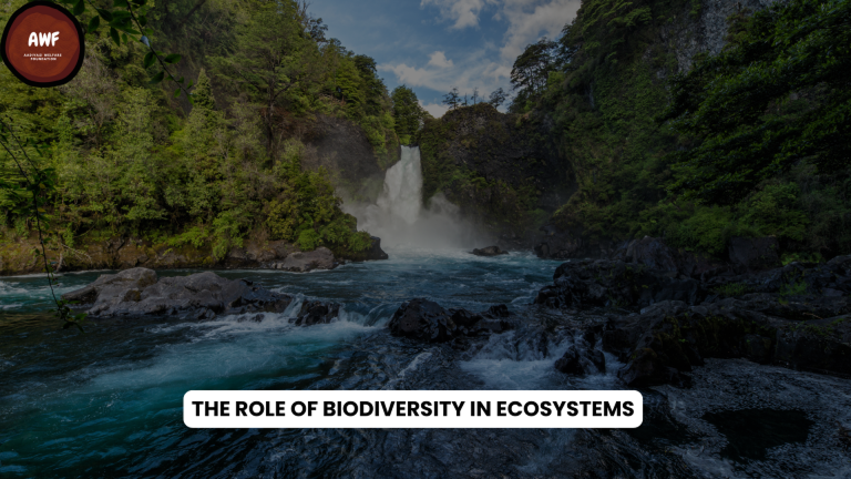 Biodiversity Hotspots in India: A Case for Trees