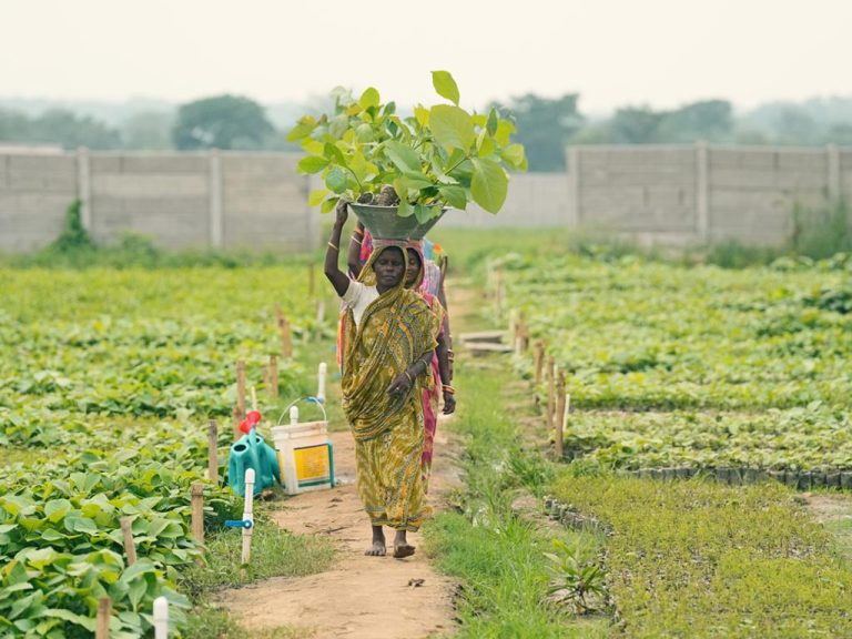 AWF’s Holistic Approach to Sustainable Livelihood and Nature Conservation