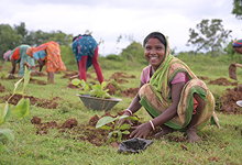 Plantation and Water Bodies