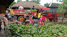 Plantation and Water Bodies