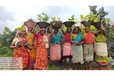 Plantation and Water Bodies