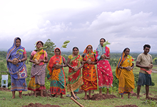 Plantation and Water Bodies