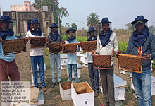Bee Keeping Training