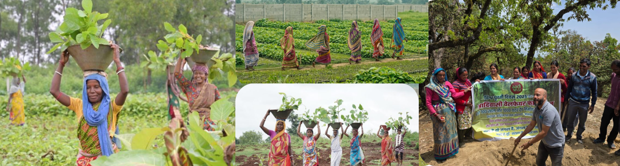 Nature And Community News