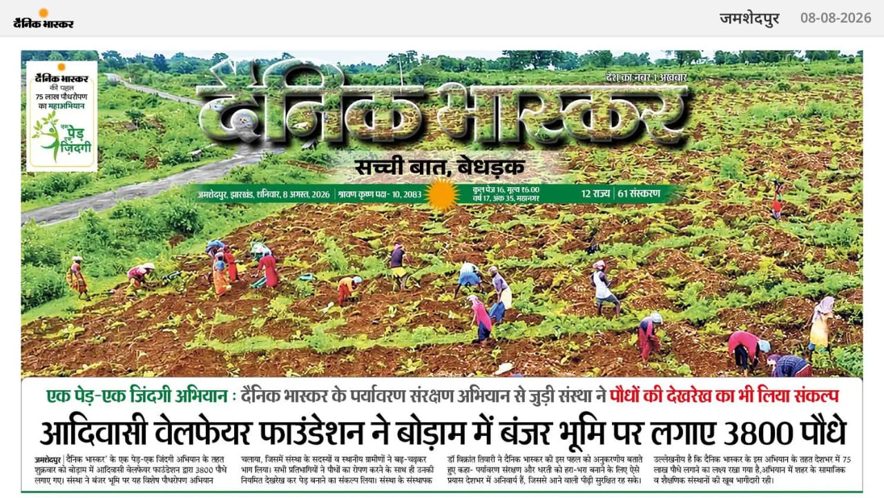 Boram Plantation of 3800 trees