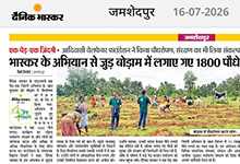 Boram Plantation of 1800 trees 2026