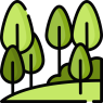 forest forest